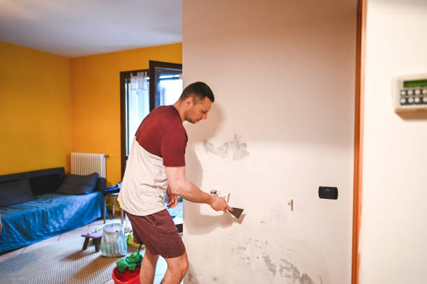 Best Mold Testing and Removal  in La Puente, CA